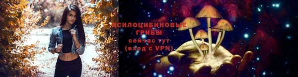 мескалин Алексеевка