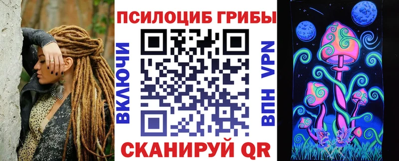 магазин  наркотиков  мега сайт  мориарти Telegram  Пыталово  Псилоцибиновые грибы MAGIC MUSHROOMS 
